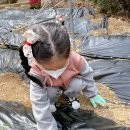 자연愛가 이미지