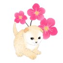 꽃마실 이미지