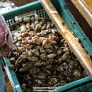 신평종합시장 이미지