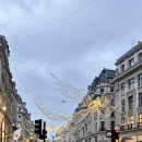 버팔로 체육관 | 영국 교환학생 (11): 테이트 모던, 하이드 파크 윈터 원더랜드, 박싱데이, 내셔널 갤러리, 자연사...