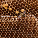 한라슈퍼 이미지