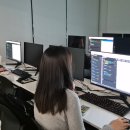 Python 처음 배우는 프로그래밍: 파이썬/웹 기초