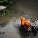 서울대학교 보건대학원 이미지