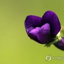 두문동터널 앞 이미지