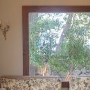 위미2리 마을회관 | [서귀포 신상카페] 주택을 개조한 감성 카페 &#39;올드패션&#39;