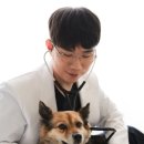 아는수의사 동물병원 이미지