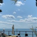 M(애견동반가능)모텔 이미지