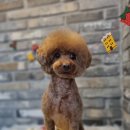 오도독뽀도독 이미지