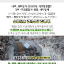 부성자동차공업사 이미지