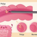 서울진외과의원 이미지