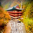 구인사 천태중앙박물관 2층 | (단양여행) 단풍 끝판왕 구인사 : 지브리의 환상