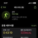 더킹복싱