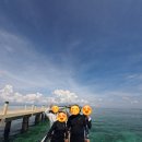 아라 | 필리핀 세부 가족 단독 호핑투어 일정 아라투어 후기