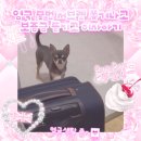 제너러스 | [영국 유학생 이사하기] 런던 불법 한인 서브렛 살다가 쫓겨나고 보증금 뜯겼어요 ෆꔛ‬(⑉･ ･⑉)‪ꔛ‬ෆ