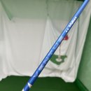 서원대로 | 장타자 추천 드라이버 코브라 DS 어댑트 벤투스 블루플러스 6S 구매 시타 후기 충주 골프샵