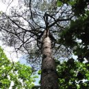 숨쉬는한의원 이미지