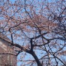 더나은메디컬 | 리센스메디컬 매도 후기 (수익률 235%)