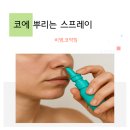 일동한미약국 | 약사님! 코 스프레이 종류가 너무 많아요. 어떤걸 써야 할까요?💡