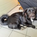 송도중학교 이미지