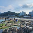 안인해변(안인해수욕장) 네이버블로그