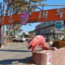 기장군청 맞은편 Daum카페