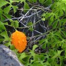 대산부동산공인중개사사무소 이미지