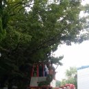 콘트롤엔 주식회사 이미지