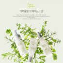 프레쉬가든 네이버블로그