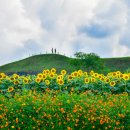 연천 호로고루 이미지