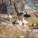 태화 목장 | [울산 태화강 국가 정원] 아이와 함께 산책하며 계절을 한껏 느낄 수 있는 공원 방문 후기