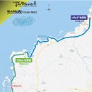 MBC | 2026 제주MBC 국제 평화마라톤 하프코스 완주 후기.