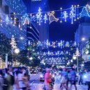 (주)굿뉴스여행사 이미지