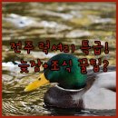 호텔 투썸스테이 | 조식 늦잠 럭셔리 전주 인기 호텔 3곳의 숨겨진 장점 대공개