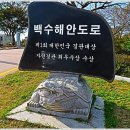 동백쉐이리 티스토리