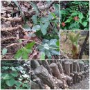 산골짜기농장 이미지