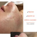 셀앤수