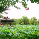 진주 용호정원 이미지