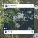 에스앤비컨설팅 이미지