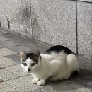 슴두살 상반기 끝.. 6월 먹짱일기 ٩(^ᴗ^)۶