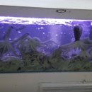 사강시장 이미지