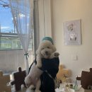 댕블댕블 이미지