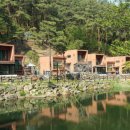 덕원카써비스 | 사립 덕원 자연휴양림 (부산/경남)