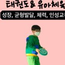 홍익태권도 이미지