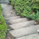 산밭골횟집 이미지