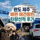 제주여객자동차㈜ | 완도 제주 배편 자동차 차량 선적, 애견동반 후기