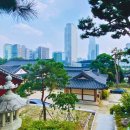 예술광장1로교통섬-현대아파트 앞 이미지