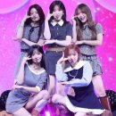 엠브이피디테일 이미지