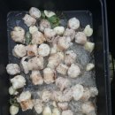 고창갯벌오토캠핑&글램핑 이미지