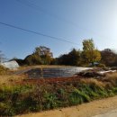 강은구공인중개사사무소 이미지