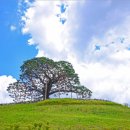 영월에서 이미지